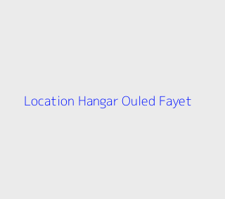 Location Hangar  Alger